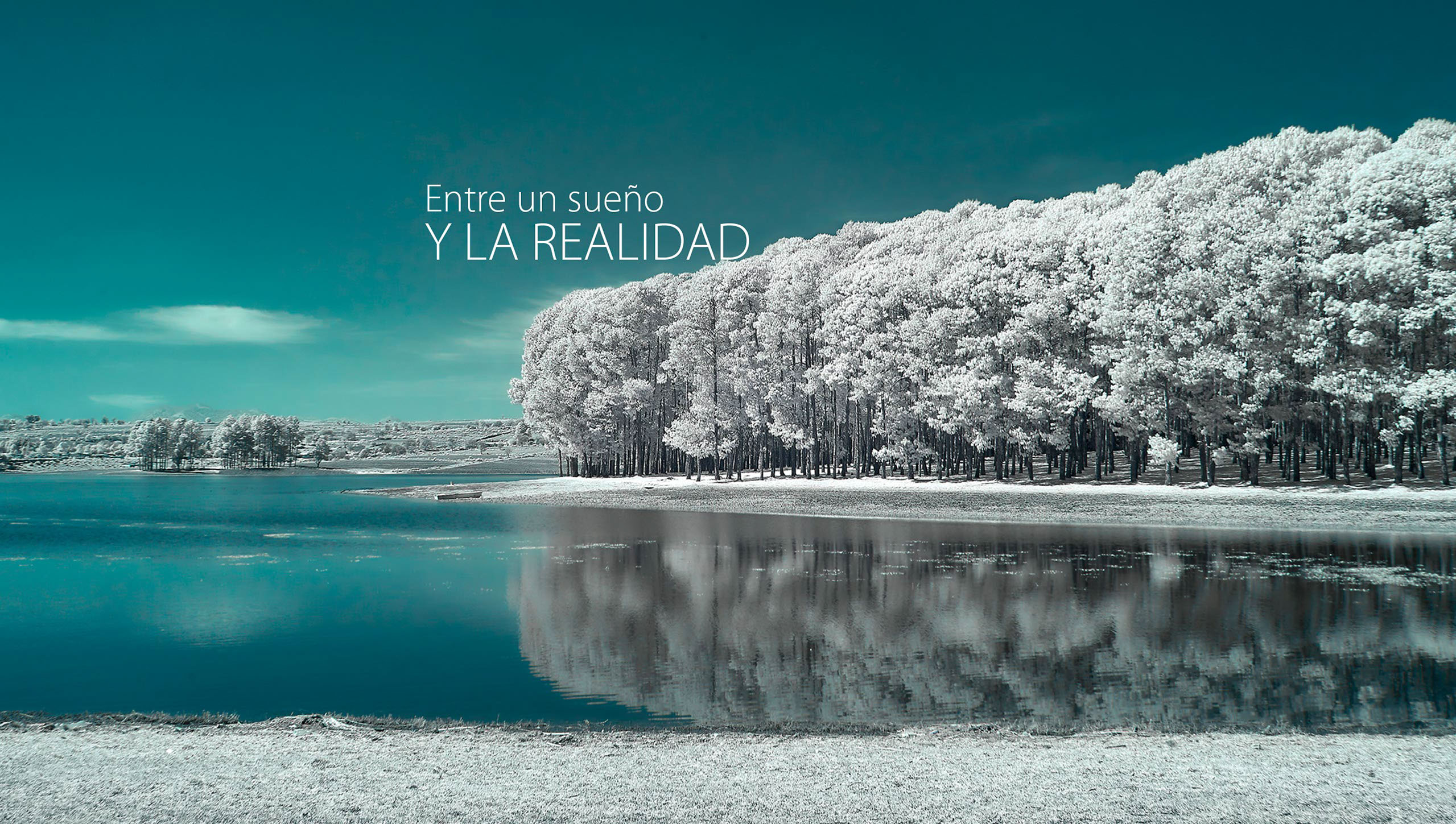 ejemplos de fotografía infrarroja, fotografía infrarroja